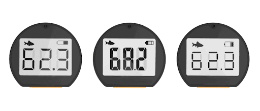 display design options